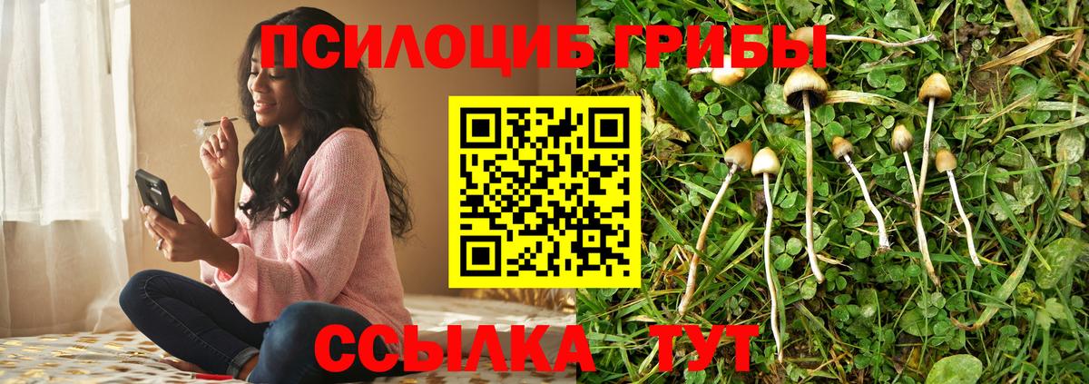 Галлюциногенные грибы прущие грибы Асино